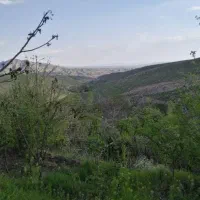 باغ،  زمین، ویلا ،