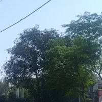 کارگر ساده همراه با خانواده