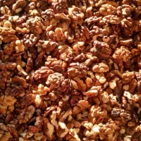 مغز گردو وترشی آلوچه