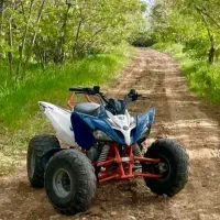 موتور چهار چرخ تقویتی