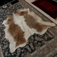 پوست گاودباغی شده باکیفیت