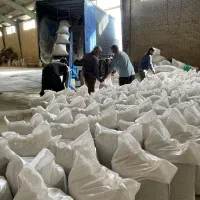 حسابدار حرفه ای پسته