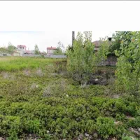 زمین ۷۵ متری فخب