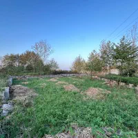 فروش ۳۰۰ متر زمین مسکونی در پیربازار|فروش زمین و ملک کلنگی|رشت, پیله داربن|دیوار