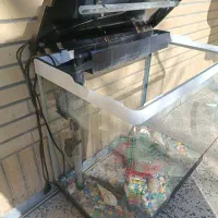 اکواریوم شیشه خم برند دلسا|ماهی|شاهینشهر, شهرک ردانی پور|دیوار