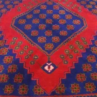 جفت کناره کمیاب