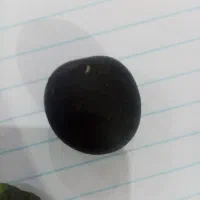 سنک|جواهرات|مرند, |دیوار