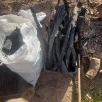 خریدار چوب کار و زغالی|خدمات باغبانی و درختکاری|سمیرم, |دیوار