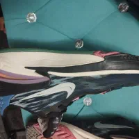 کفش والیبال نایک