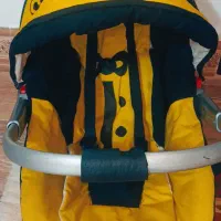 کالسکه ، روروئک،کریر،قصری|کالسکه و لوازم جانبی|شیراز, دشت چنار|دیوار