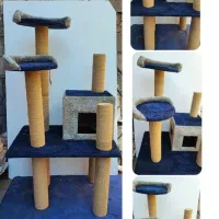 اسکرچر گربه