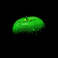 خواهان گوشی داریا