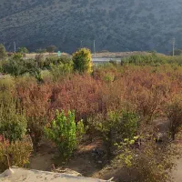 خانه باغ کریک کمر بندی اصفهان متراژ 8000 عرض 50|فروش خانه و ویلا|سیسخت, |دیوار