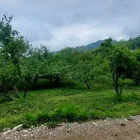 فروش-زمین-مسکونی