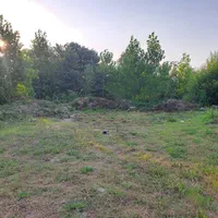 300 متری سند تک برگ بهمراه پروانه ساخت ویلا