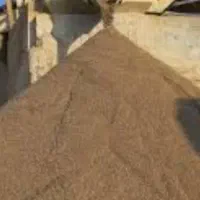 ماسه شسته