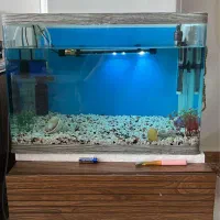 اکواریوم با تمام لوازم