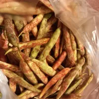 ارسال رایگان تا  درب منزل/ لوبیا چیتی فروشی