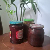 سفارشات خانگی ارگانیک پذیرفته میشود
