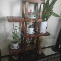 استند گل ۱۰ تایی چوب روسی ضد آب