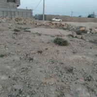 زمین تورگان