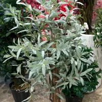 درختچه زیتون مصنوعی
