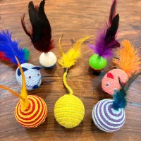 خاک گربه و غذای سگ لوازم حیوانات خانگی|لوازم جانبی حیوانات|پردیس, فاز ۱۱|دیوار