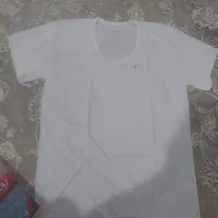 دو عدد رکابی