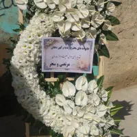 کد 55 تاج گل اعلمی برای افتتاحیه|گل و گیاه طبیعی|تهران, نیلوفر|دیوار