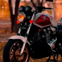 دوچرخه 24