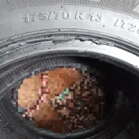 لاستیک تیبا.وپراید