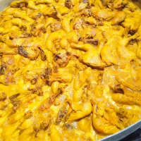 اشپزی مجالس