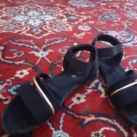 کفش و صندل|کیف، کفش، کمربند|بیرجند, |دیوار