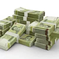 پول پیداشده