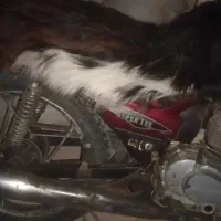 متور|موتورسیکلت|گمیشان, |دیوار