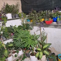 آپارتمان-65متریک-خواب-طبقه-اول