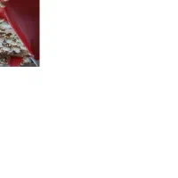 فروش جوجه بوقلمون بیوتی