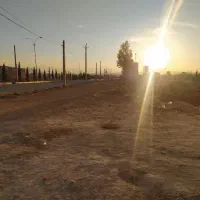 هماشهرتیس خانی 250متر