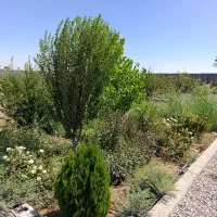 باغچه آب و برق آلاچیق انبار استخرآبیاری مکانیزه|فروش زمین و ملک کلنگی|شریف‌آباد, |دیوار