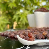 محصولات کشاورزی ارگانیک با تضمین کیفیت|خوردنی و آشامیدنی|قم, صفائیه|دیوار