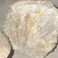 سنگ|کلکسیون اشیاء عتیقه|نورآباد ممسنی, |دیوار