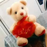 یک عدد خرس سفید قلب مناسب ولنتاین نو 220