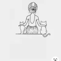 گربه ماده پیدا شده