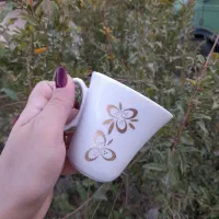 سرویس چینی ۶ نفره همراه با صبحانه خوری کامل|ظروف سرو و پذیرایی|سرپل ذهاب, |دیوار