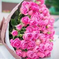 فیلمنامه ژانر نوجوان