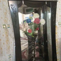 ویترین درحدنو