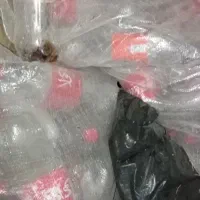 بطریخالینوشابه|ظروف نگهدارنده، پلاستیکی، یکبارمصرف|زاهدان, |دیوار