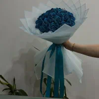 بهترین قیمتها