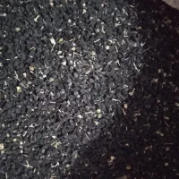 بذر پیاز تمیز