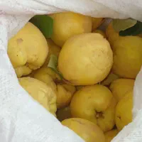 به کوهستان شیرین خوش عطر